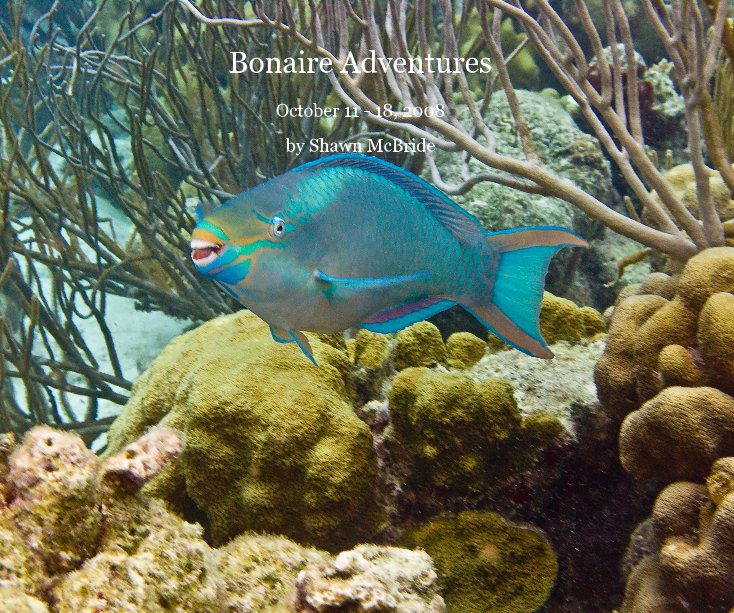 Visualizza Bonaire Adventures di Shawn McBride