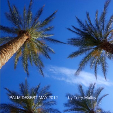 PALM DESERT  MAY 2012  by Terry Malloy book cover