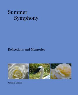 Summer Symphony book cover