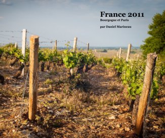 France 2011 Bourgogne et Paris par Daniel Marineau book cover