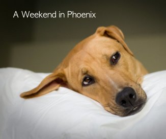 A Weekend in Phoenix book cover