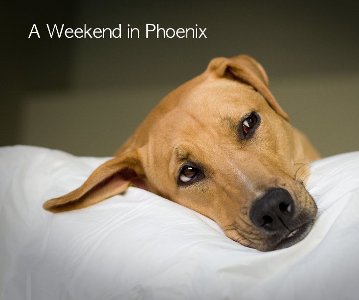 View A Weekend in Phoenix by Danielle Daigle