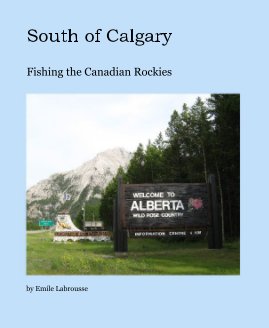 South of Calgary book cover