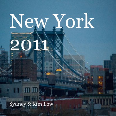 New York 2011 book cover
