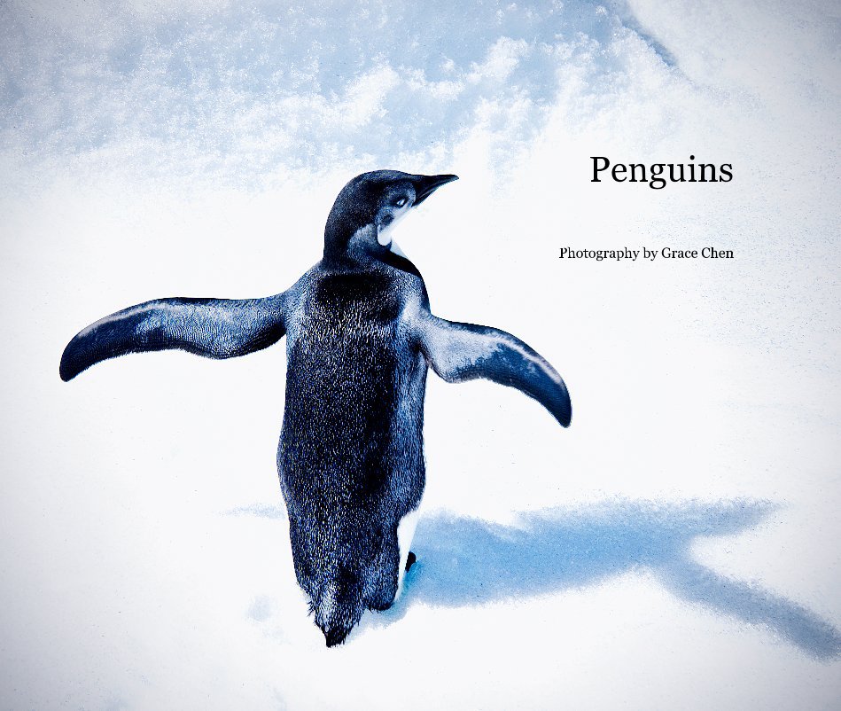 Ver Penguins por Photography by Grace Chen