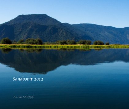 Sandpoint 2012 book cover