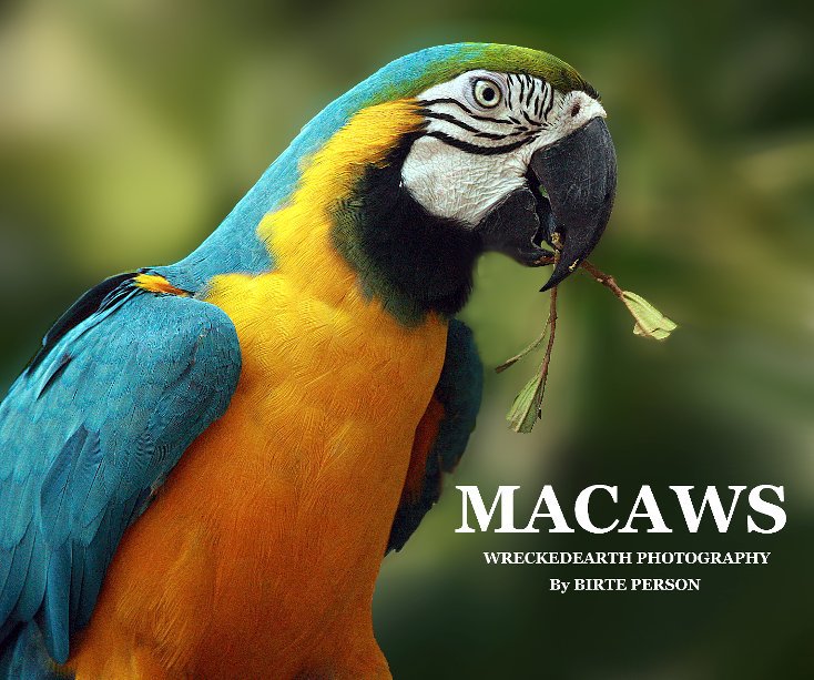 View MACAWS by wreckedearth