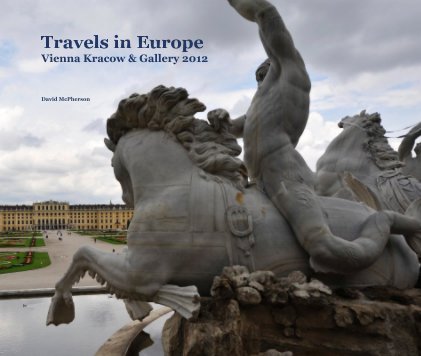 Travels in Europe Vienna Kracow & Gallery 2012 book cover