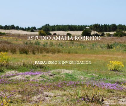 ESTUDIO AMALIA ROBREDO book cover