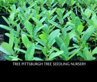 TREE PITTSBURGH TREE SEEDLING NURSERY book cover