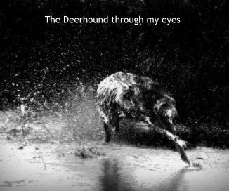 The Deerhound through my eyes book cover