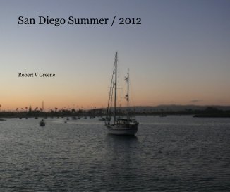 San Diego Summer / 2012 book cover