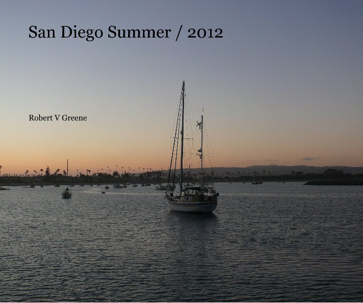 View San Diego Summer / 2012 by Robert V Greene