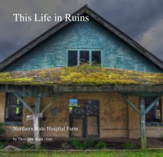 This Life in Ruins book cover