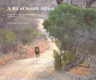 A Bit of South Africa book cover