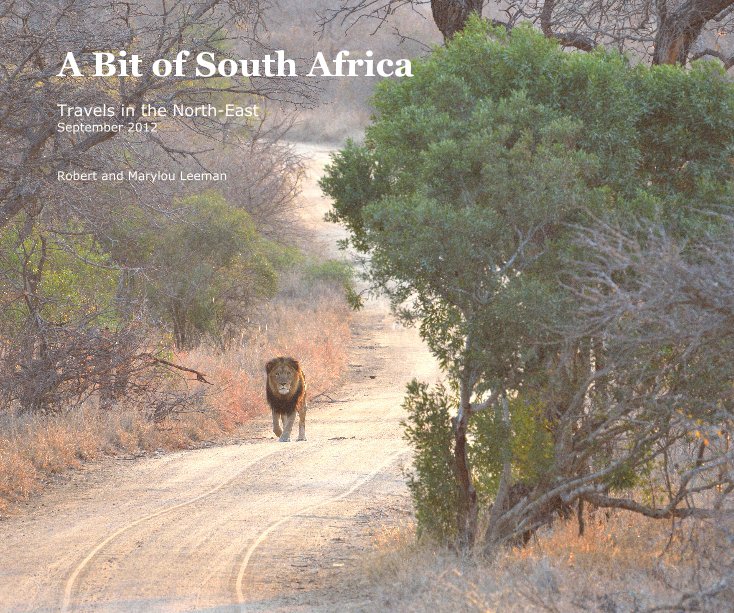 Ver A Bit of South Africa por Robert and Marylou Leeman