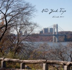 New York Trip November 2011 book cover