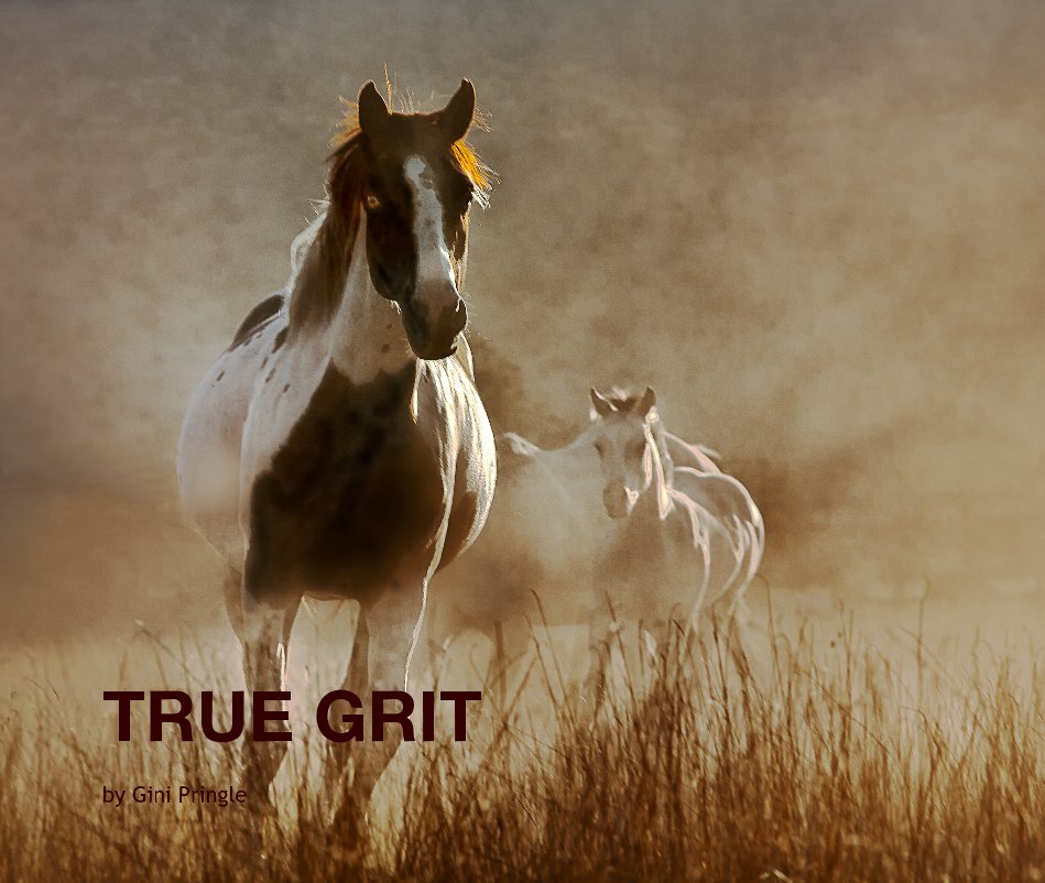 View TRUE GRIT by Gini Pringle