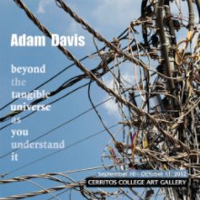 Adam Davis book cover