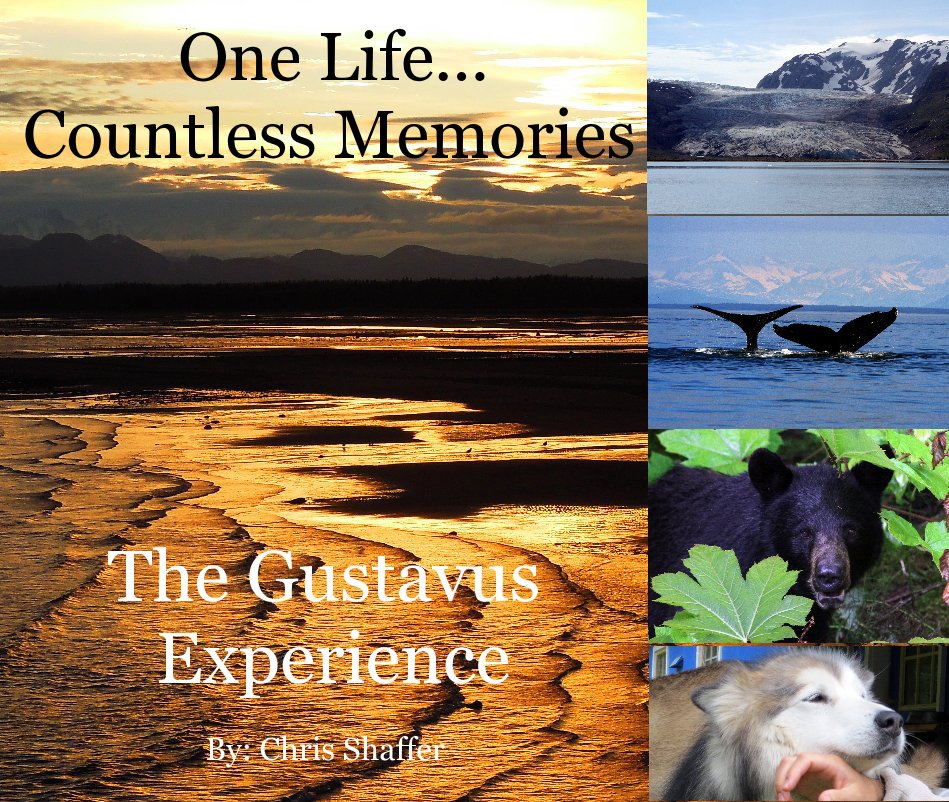 Bekijk One Life... Countless Memories op The Gustavus Experience