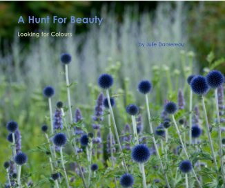 A Hunt For Beauty book cover