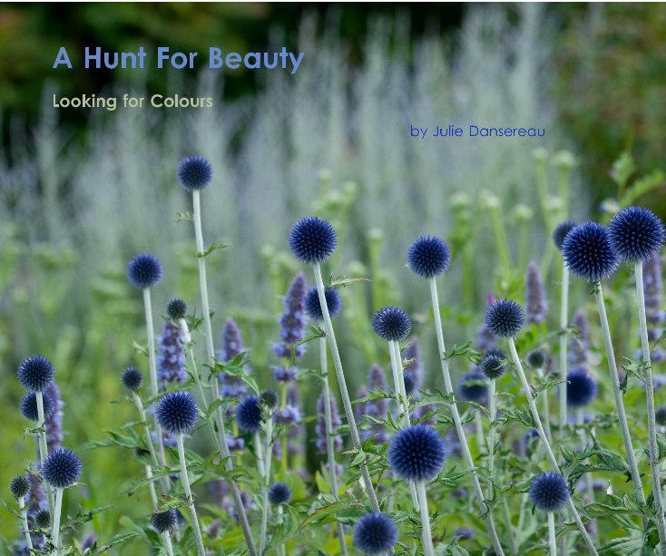 View A Hunt For Beauty by Julie Dansereau