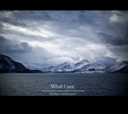 What I see book cover