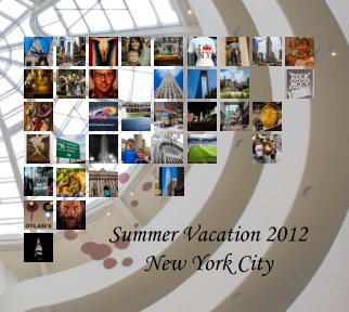 NYC 2012 book cover