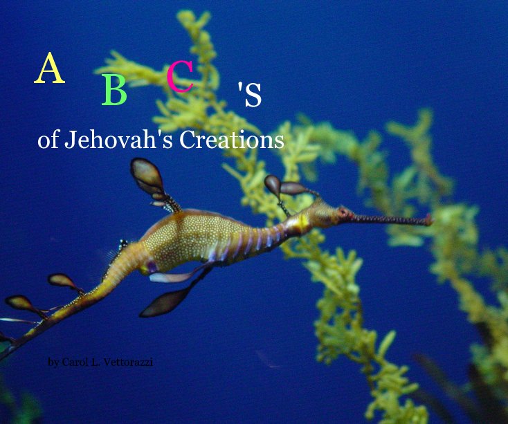 View of Jehovah's Creations by Carol L. Vettorazzi