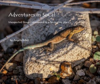 Adventures in SoCal book cover