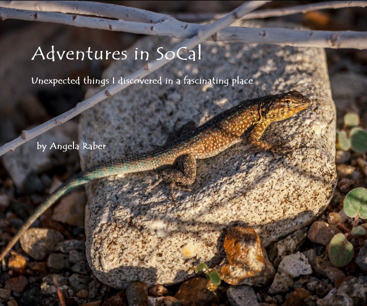 View Adventures in SoCal by Angela Raber