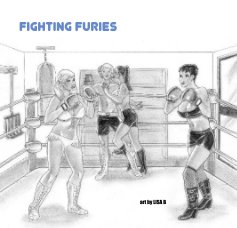 Fighting Furies book cover