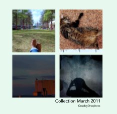 Collection March 2011 book cover