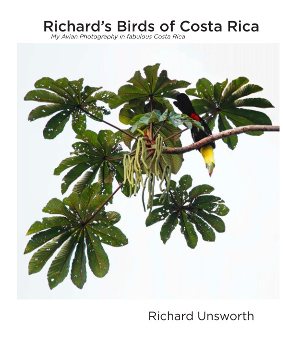 View Richard's Birds of Costa Rica by Richard Unsworth