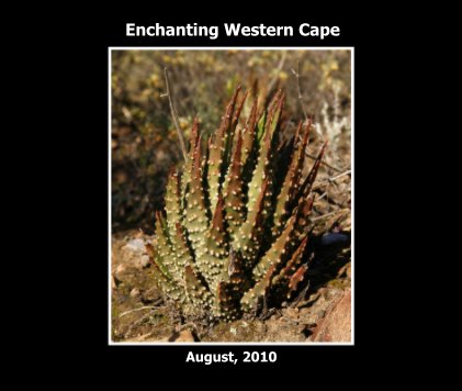 Enchanting Western Cape book cover