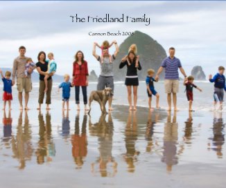 The Friedland Family book cover