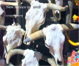 New Mexico in 2012 book cover