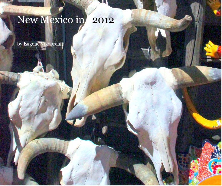 View New Mexico in 2012 by Eugene Vigdorchik