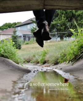 a softer somewhere book cover
