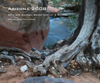 Arizona 2008 book cover