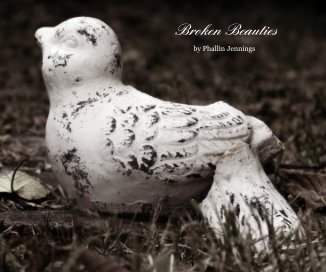 Broken Beauties book cover