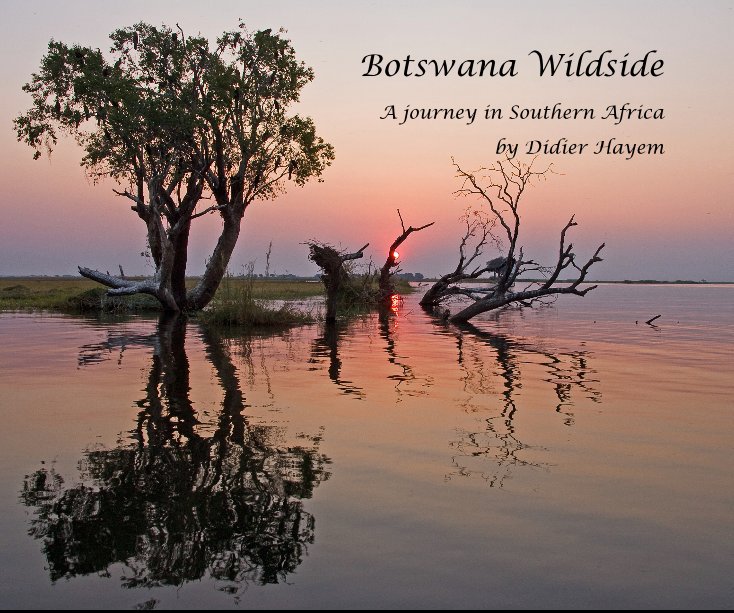 Visualizza Botswana Wildside di Didier Hayem