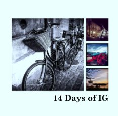 14 Days of IG book cover