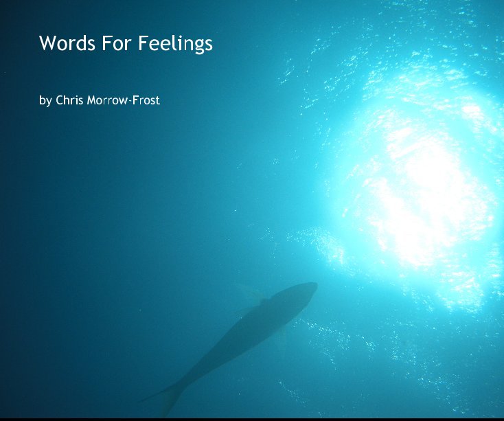 View Words For Feelings by Chris Morrow-Frost