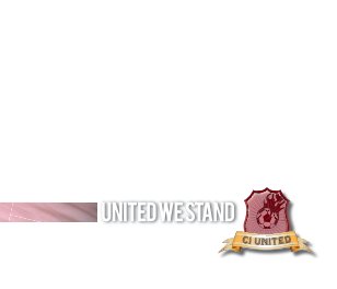 UNITED WE STAND book cover