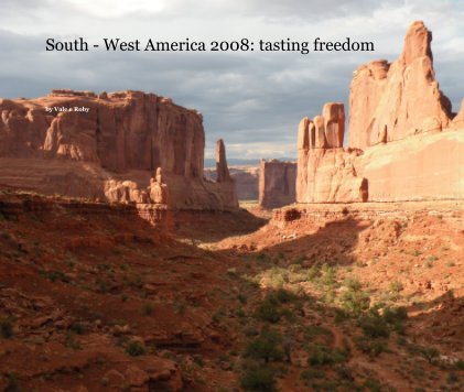 South - West America 2008: tasting freedom book cover