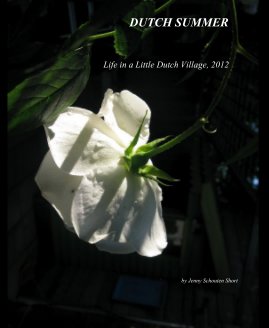 DUTCH SUMMER book cover