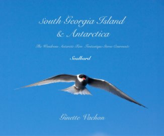 South Georgia Island & Antarctica  Svalbard The Wondrous Antarctic Tern book cover