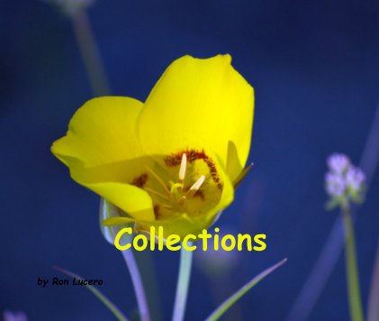 Collections book cover