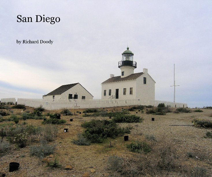 View San Diego by Richard Doody